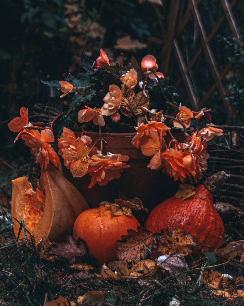 Photograph by Kateryna Khorsun