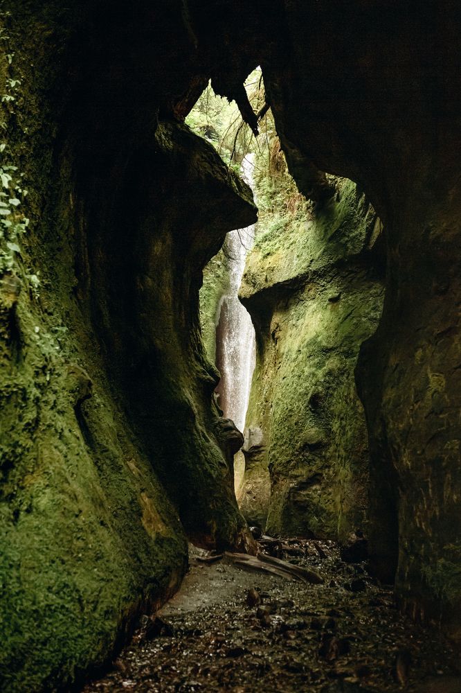 Photograph by Mariia Ivanova