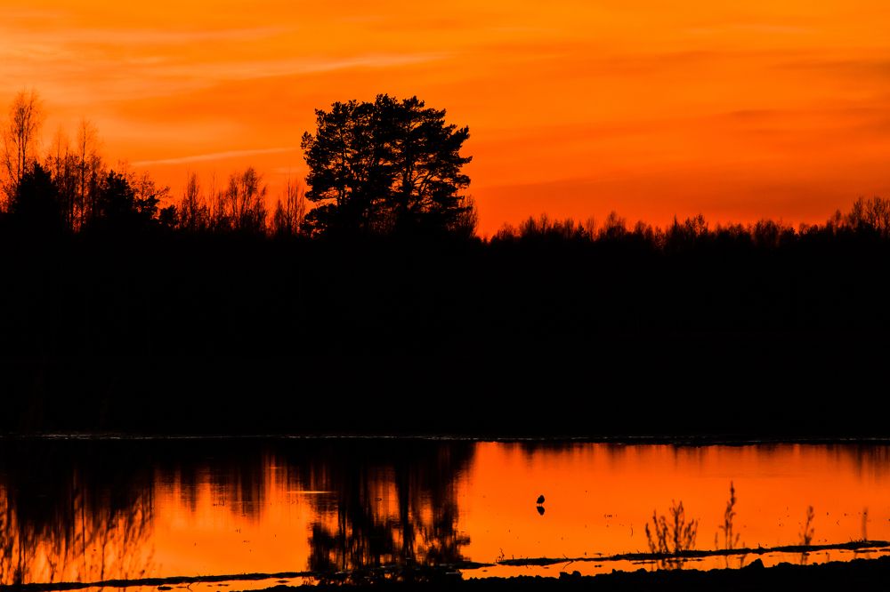 Photograph by Мария Тёмкина