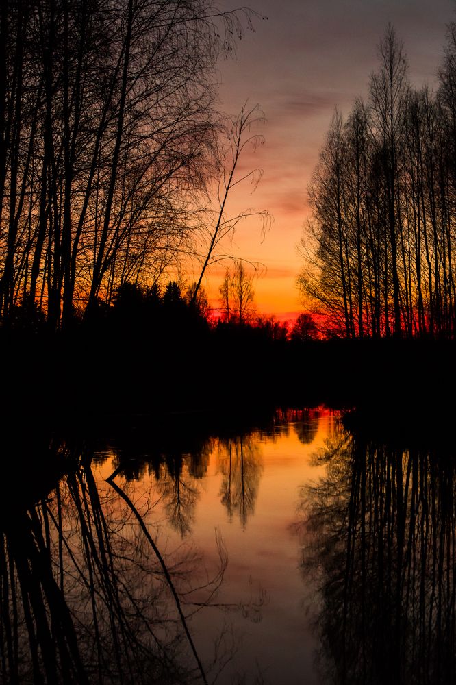 Photograph by Мария Тёмкина