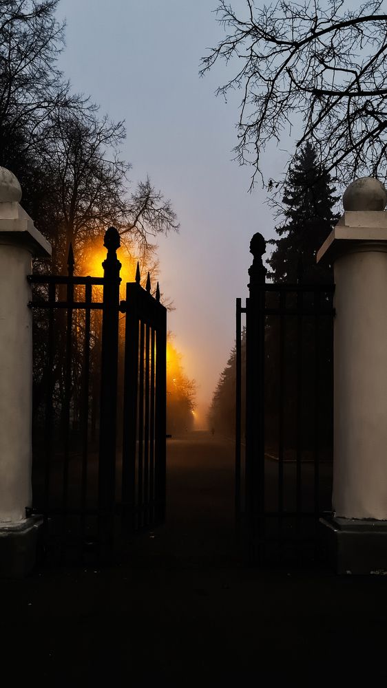 Photograph by Екатерина Часова