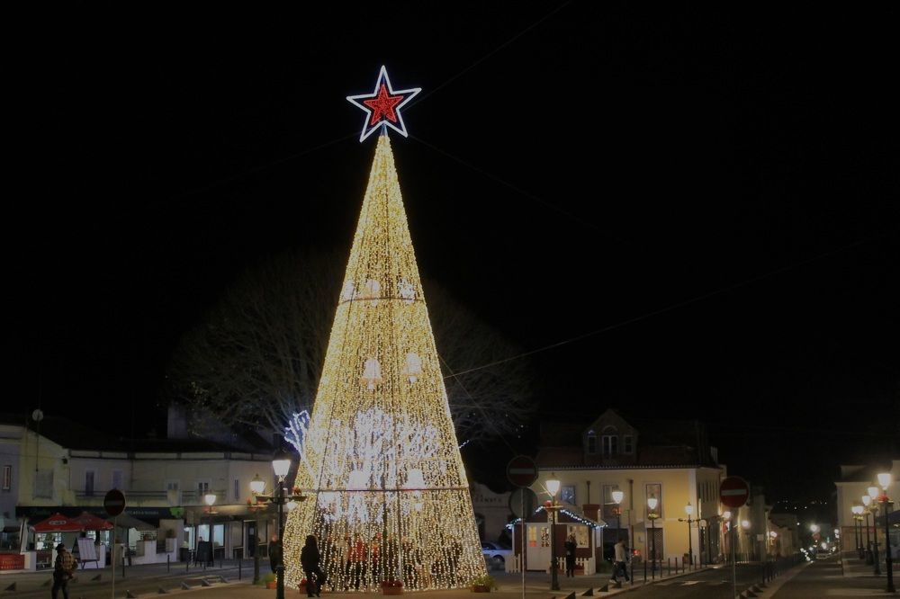 Photograph by Francisco Ferreira