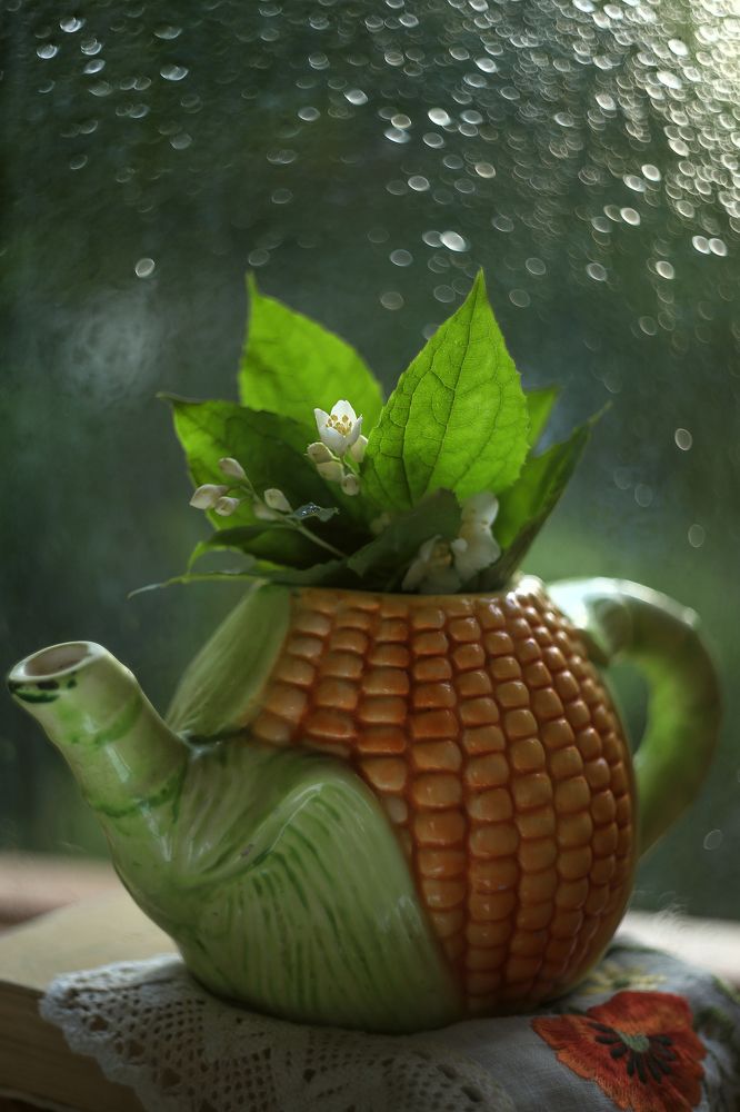 Photograph by Ирина Горюкина