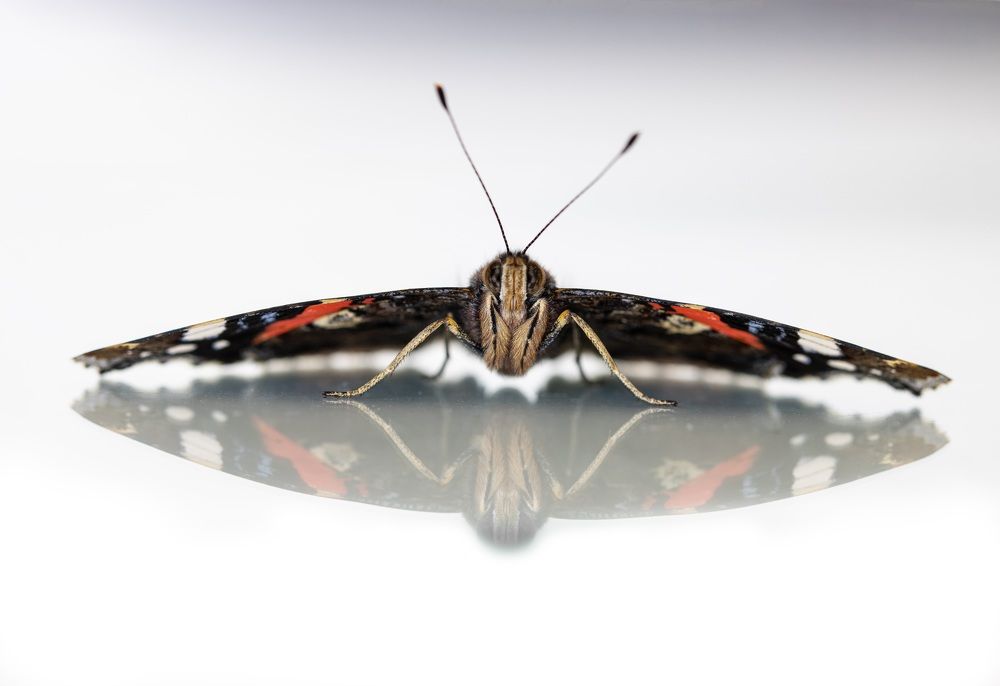 Photograph by Малика Маткарим