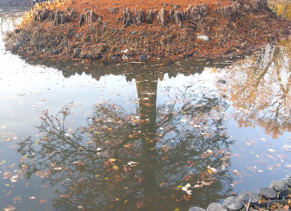 Photograph by Dariusz Gruszka