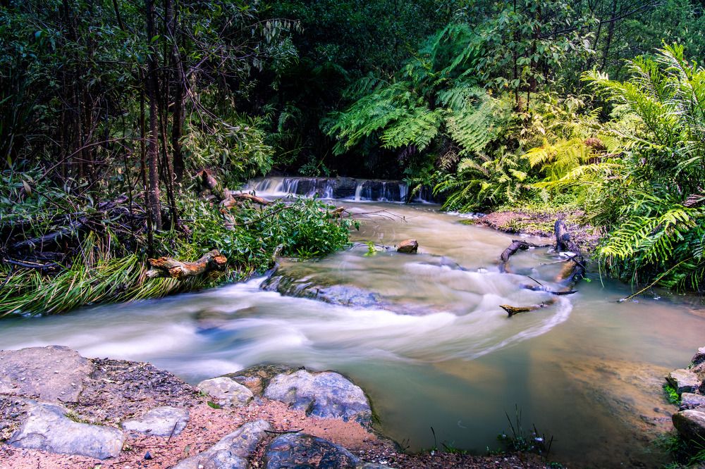 Photograph by Ninad Pethkar