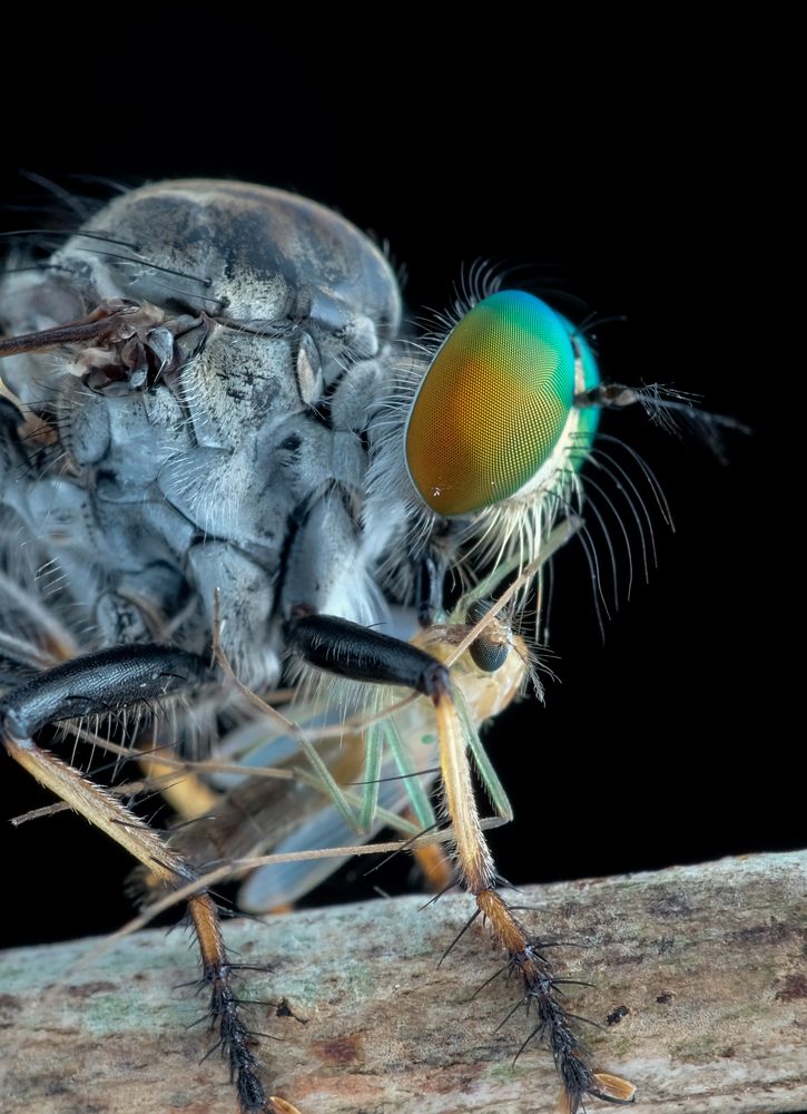 Photograph by Chuah Christopher