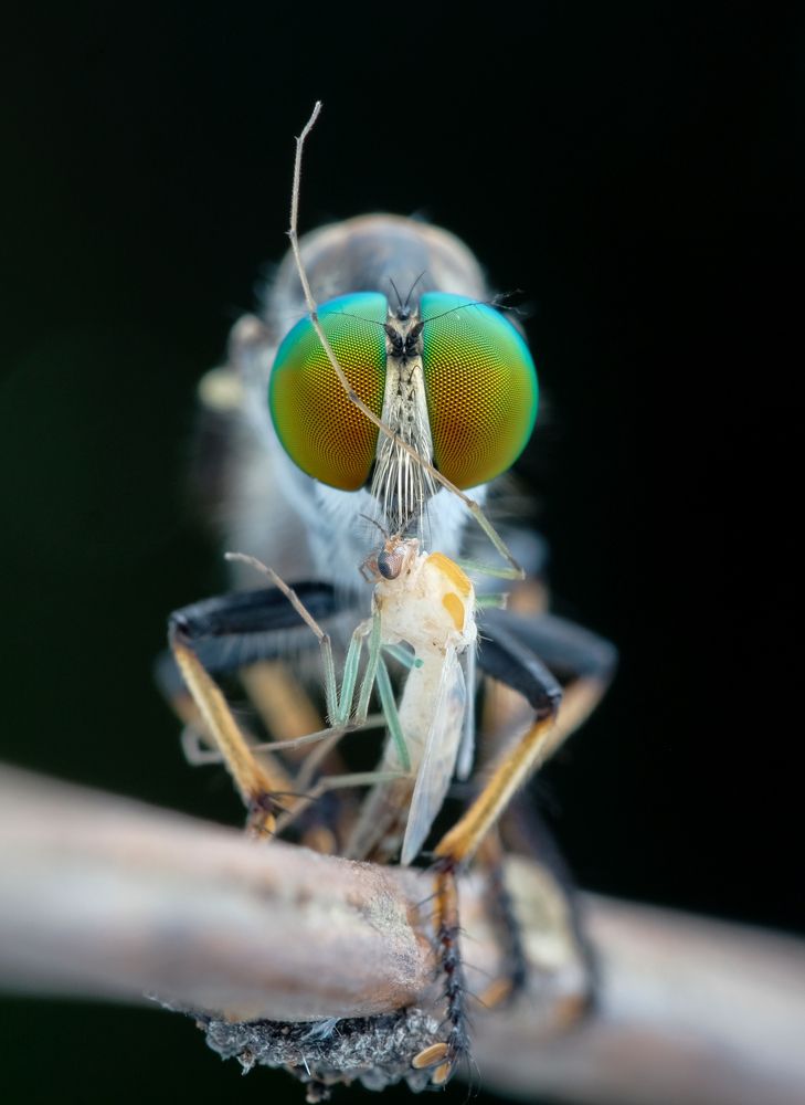 Photograph by Chuah Christopher