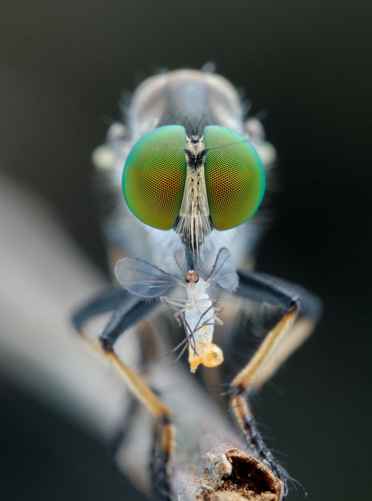 Photograph by Chuah Christopher