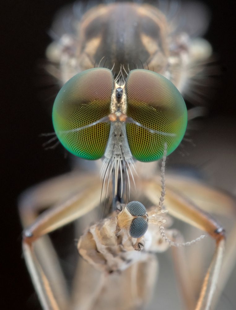 Photograph by Chuah Christopher