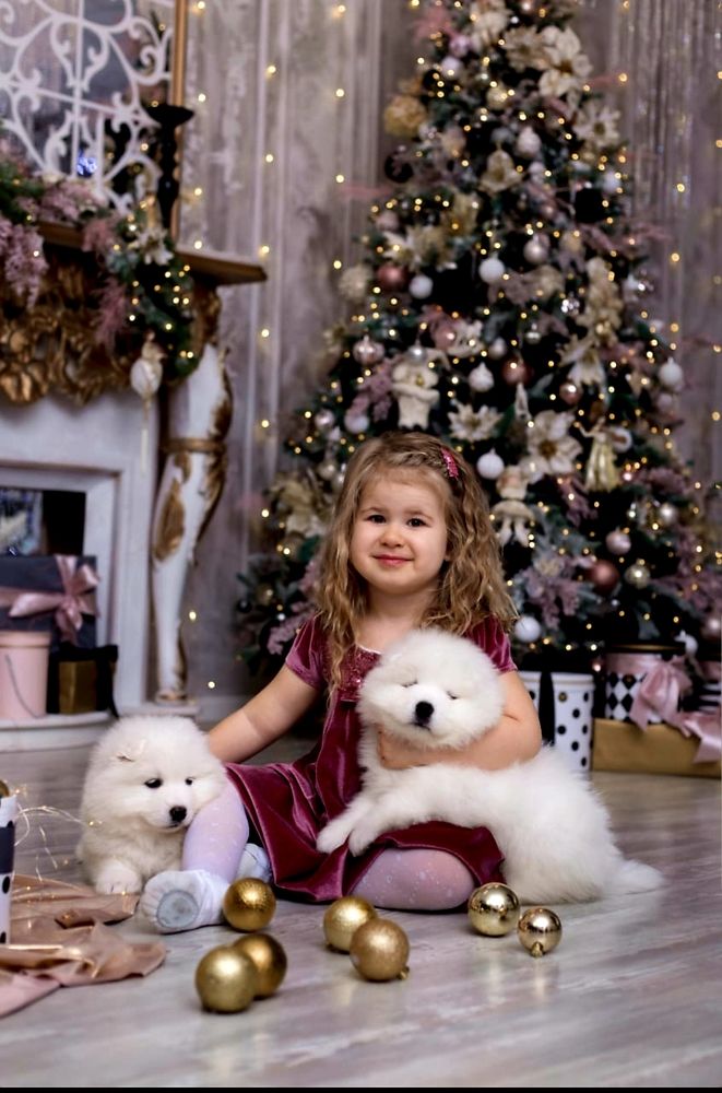 Photograph by Рафаил Манафов