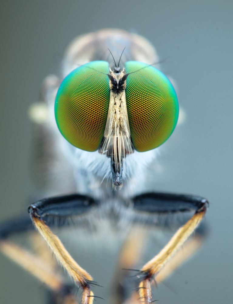 Photograph by Chuah Christopher