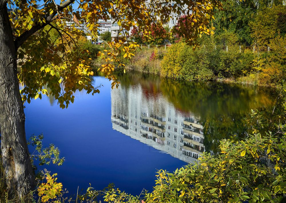 Photograph by Ирина Александрович