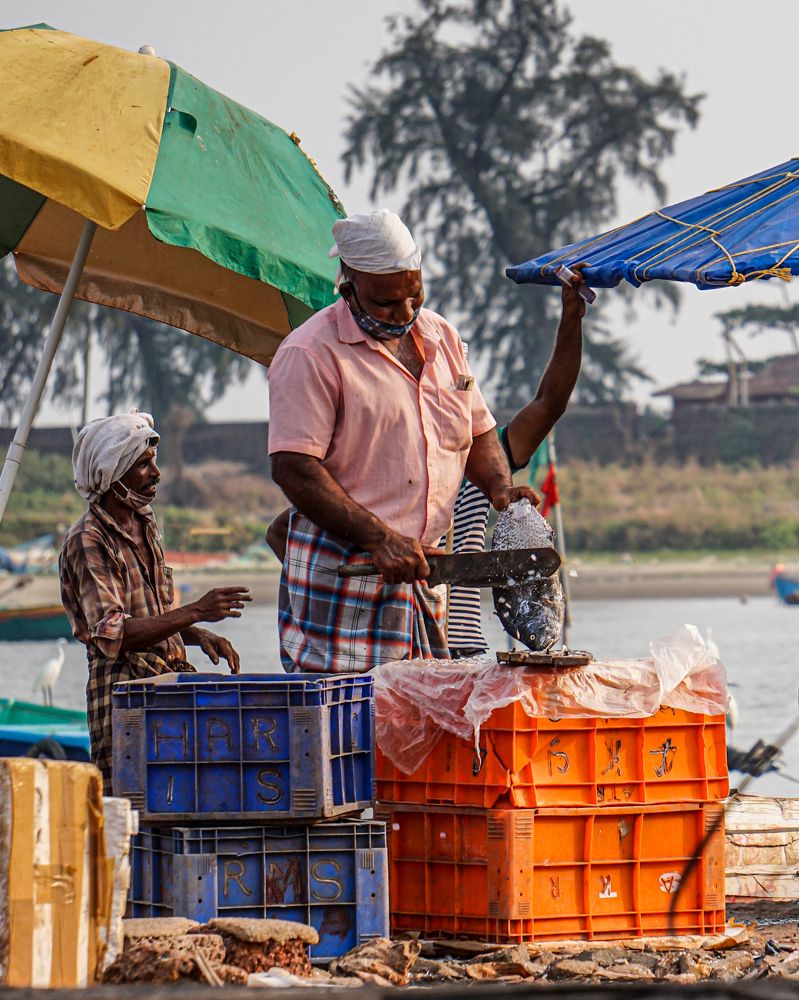 Photograph by Sreenadh G V