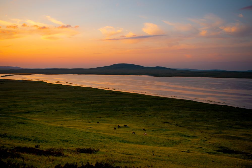 Photograph by Елена Прохорова