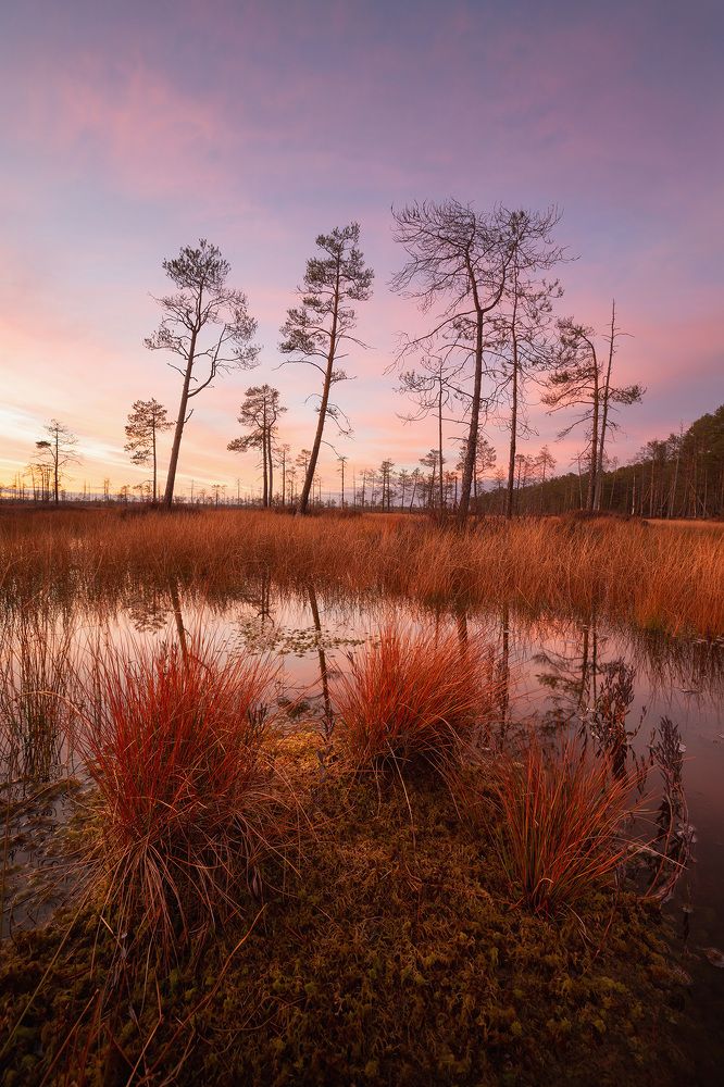 Photograph by Сергей Гарифуллин