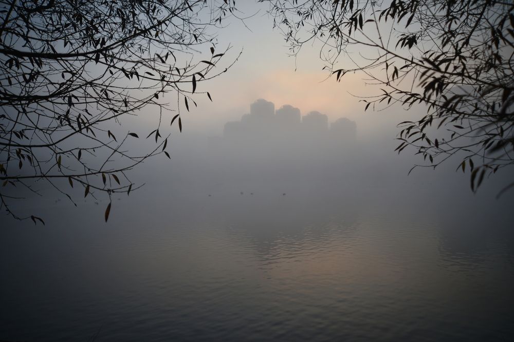 Photograph by Nik Rauzhin