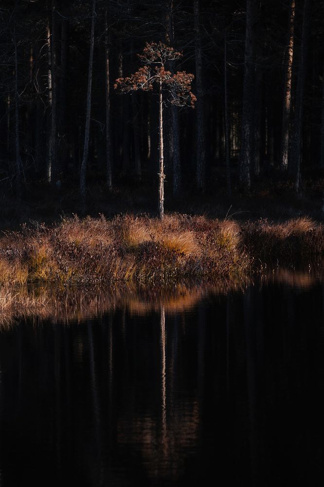 Photograph by Сергей Гарифуллин