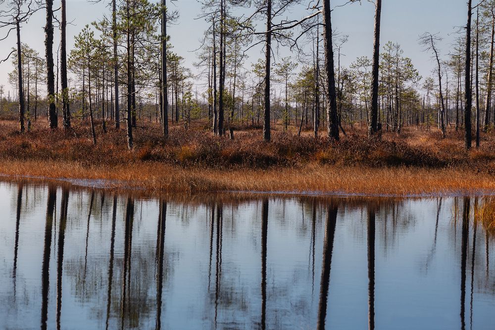 Photograph by Сергей Гарифуллин