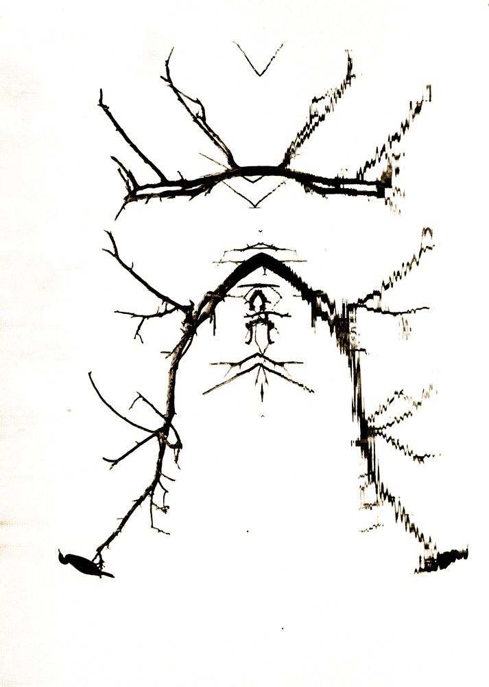 Фотография автора Sajeev Krishnan