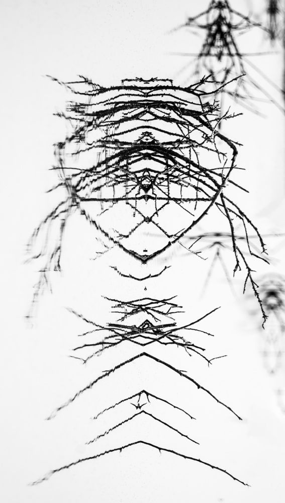 Фотография автора Sajeev Krishnan