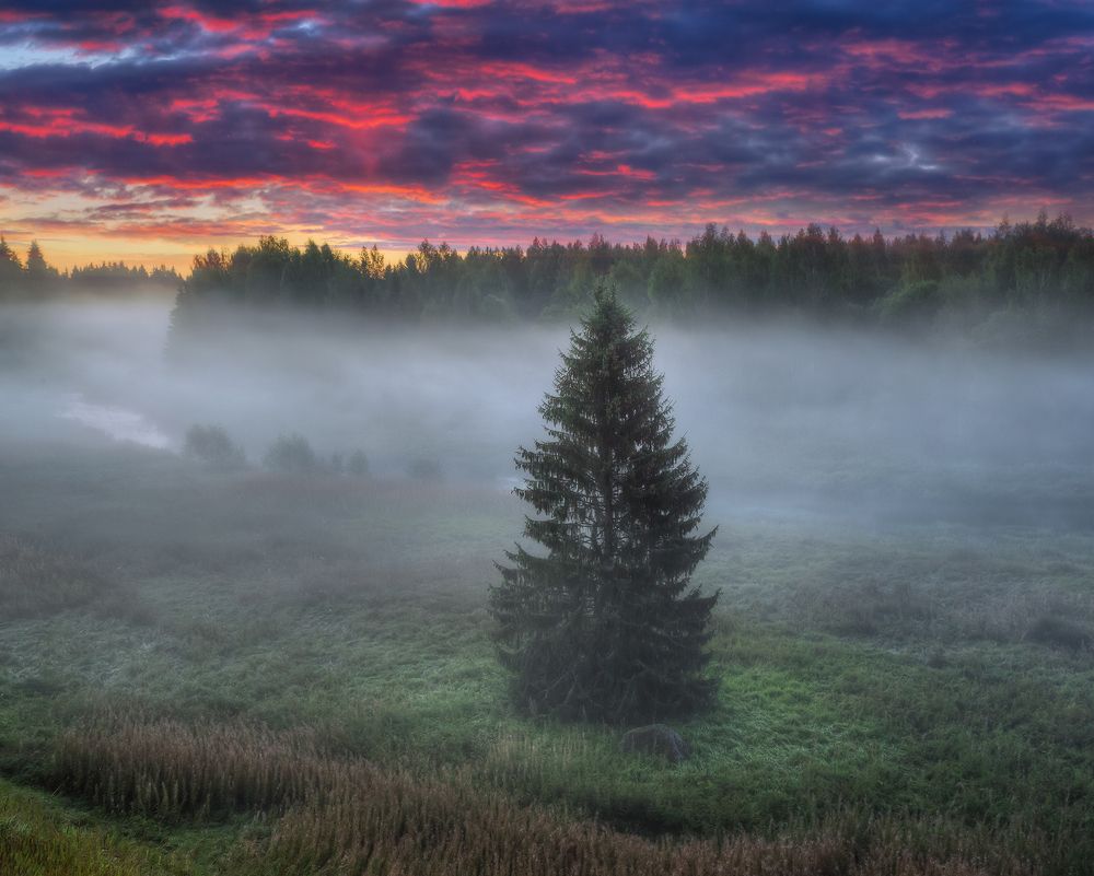 Туманы августа...