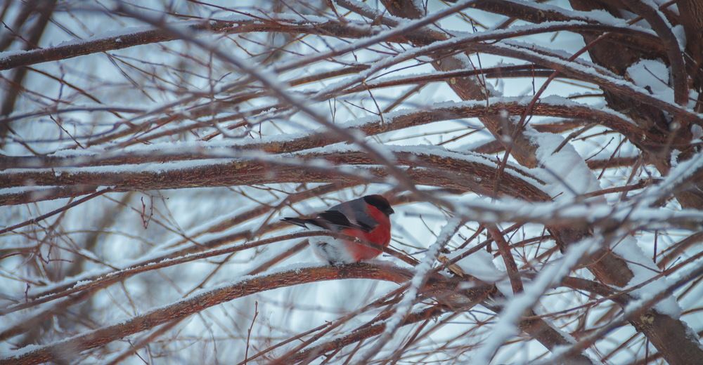 Photograph by Шаромов Иван