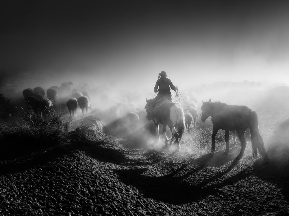 Photograph by bingo Z