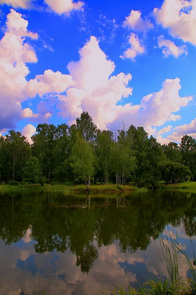 Фотография автора АЛЕКСАНДР ЦЫГЕЛЬНЮК