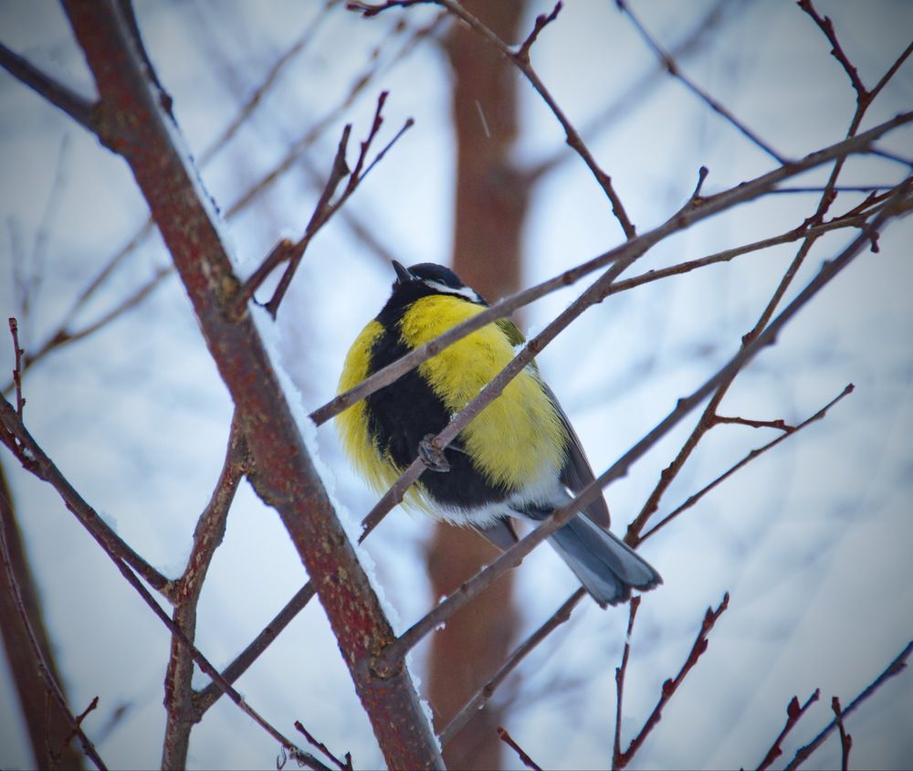 Photograph by Шаромов Иван