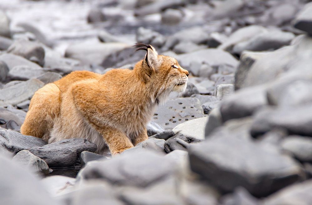 Photograph by Александр Кривошапкин