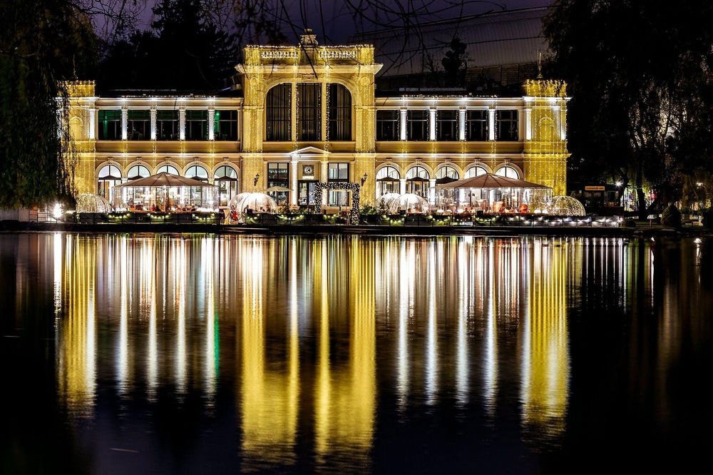 Photograph by Alin Bicas