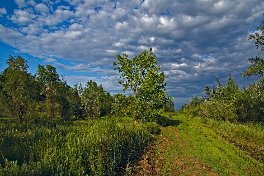 Photograph by Сергей Кириллов