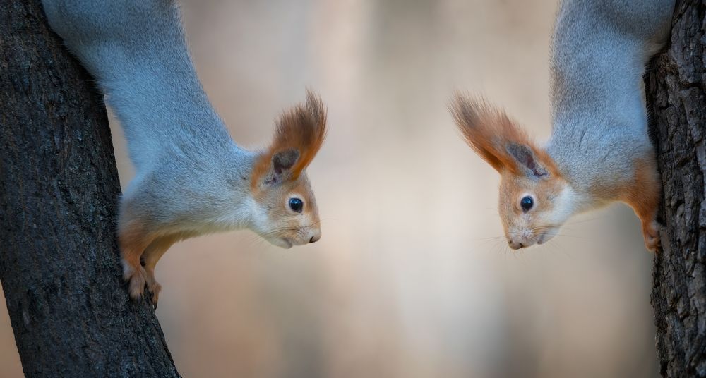 Photograph by Alexander Plekhanov