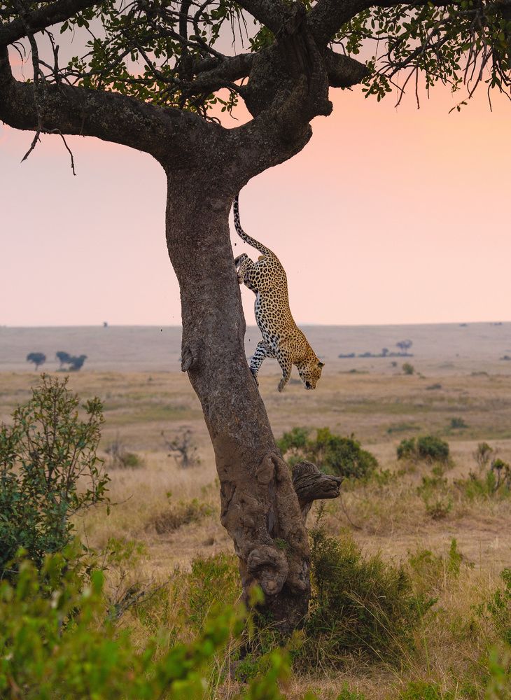 Photograph by Sajeev Krishnan