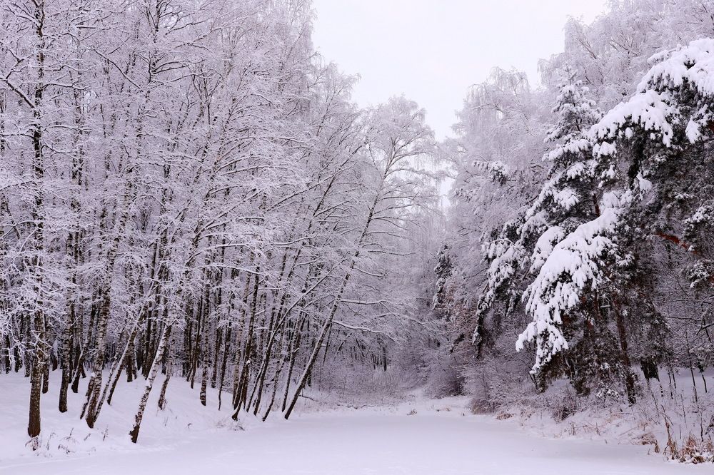 Photograph by Константин Лагоденко