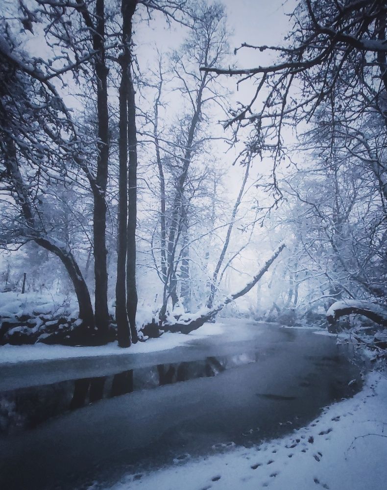 Фотография автора Alina Filimonova