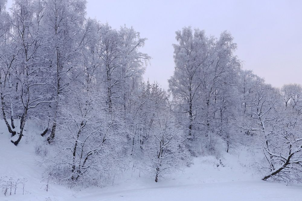 Photograph by Константин Лагоденко