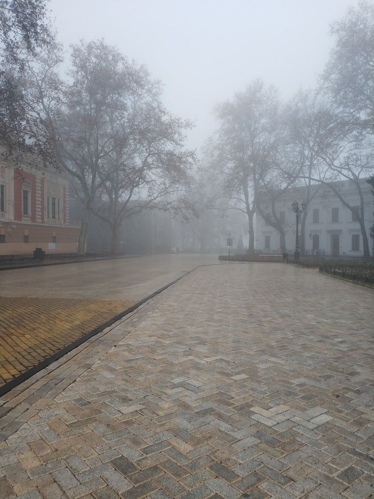 Photograph by Александр Чернега