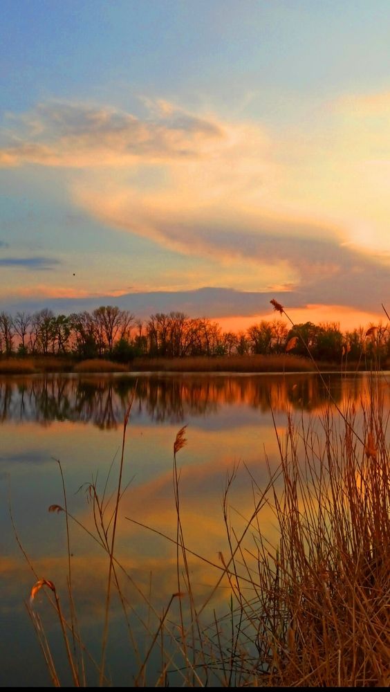 Photograph by Наталия