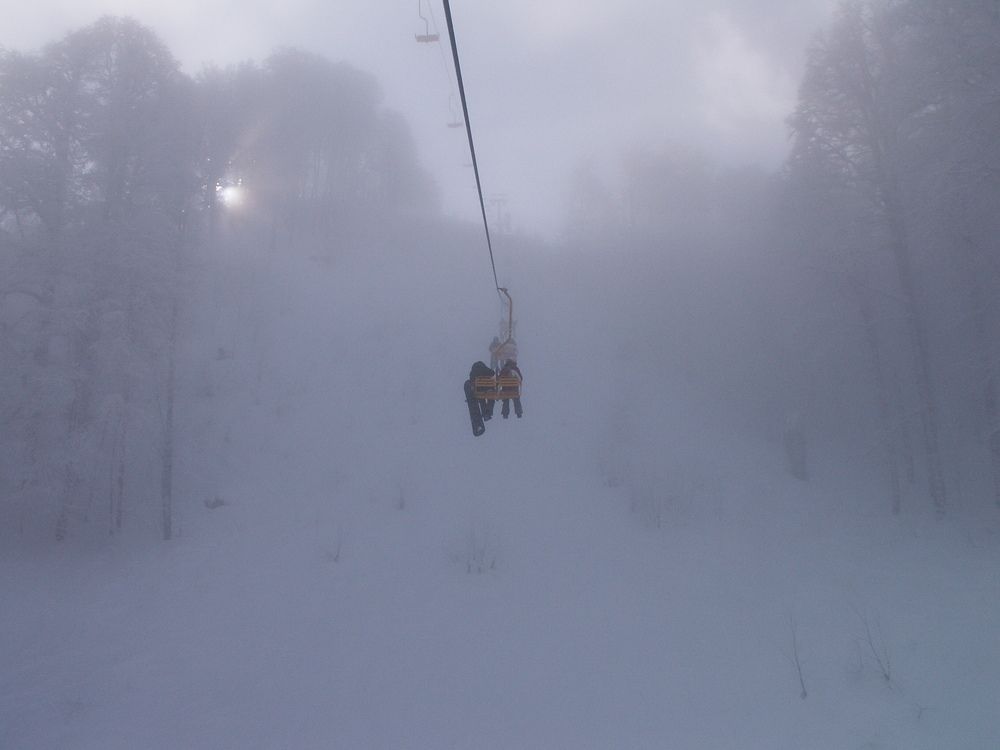 Photo #6873584