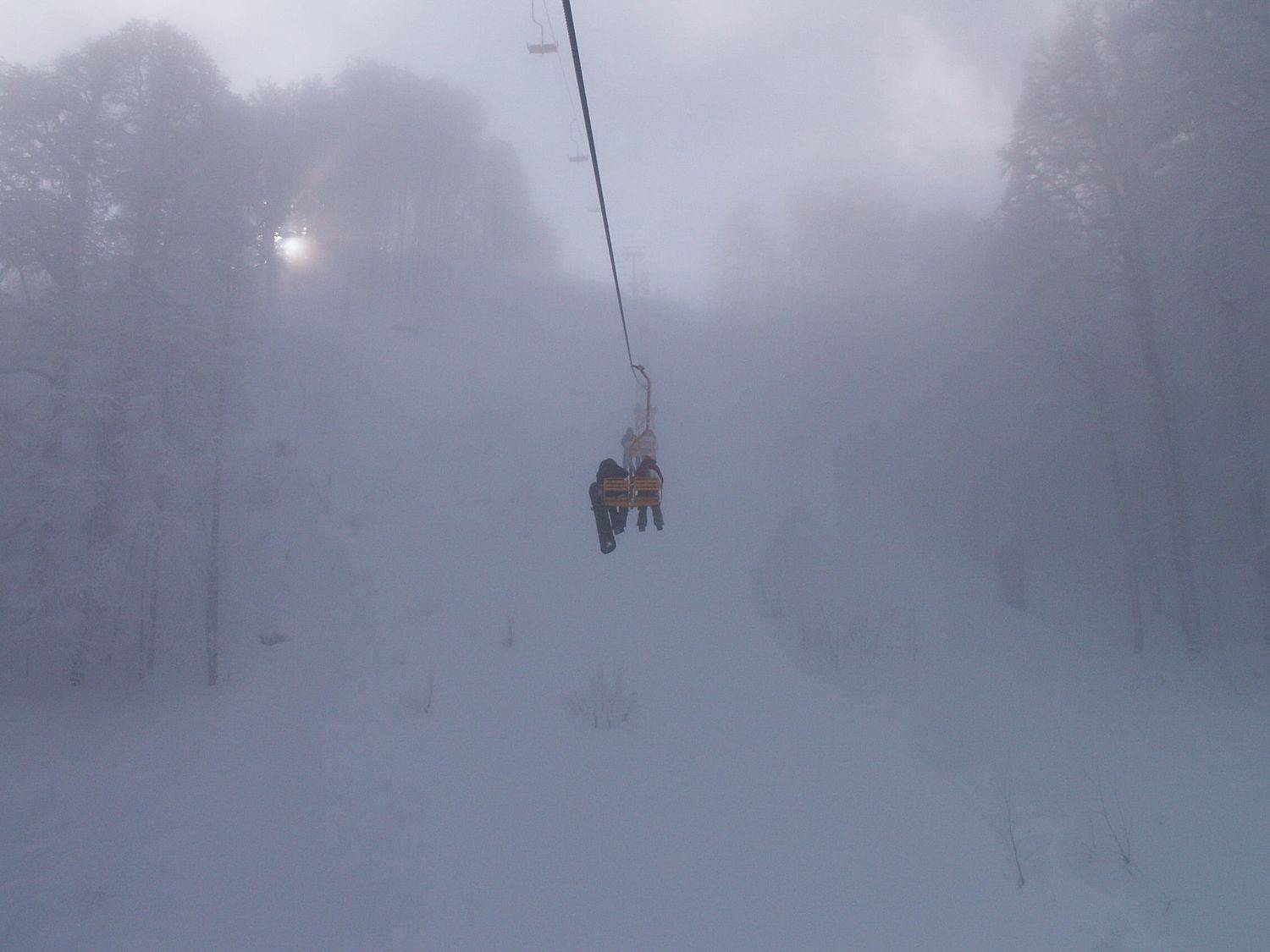 Photo #6873584