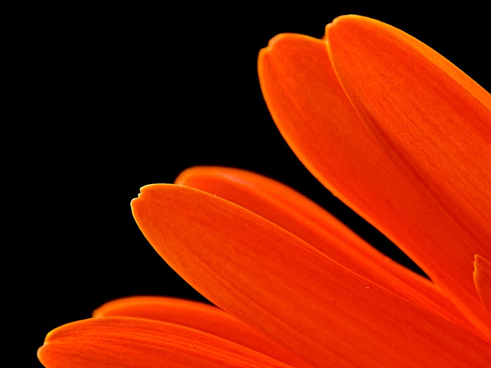 Photograph by Евгений Козлов