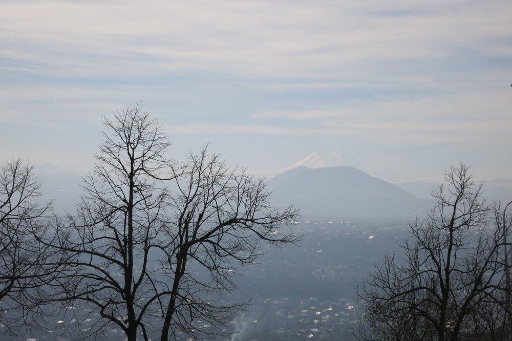 Photo #6873605