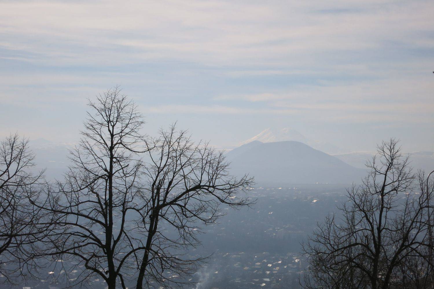 Photo #6873605