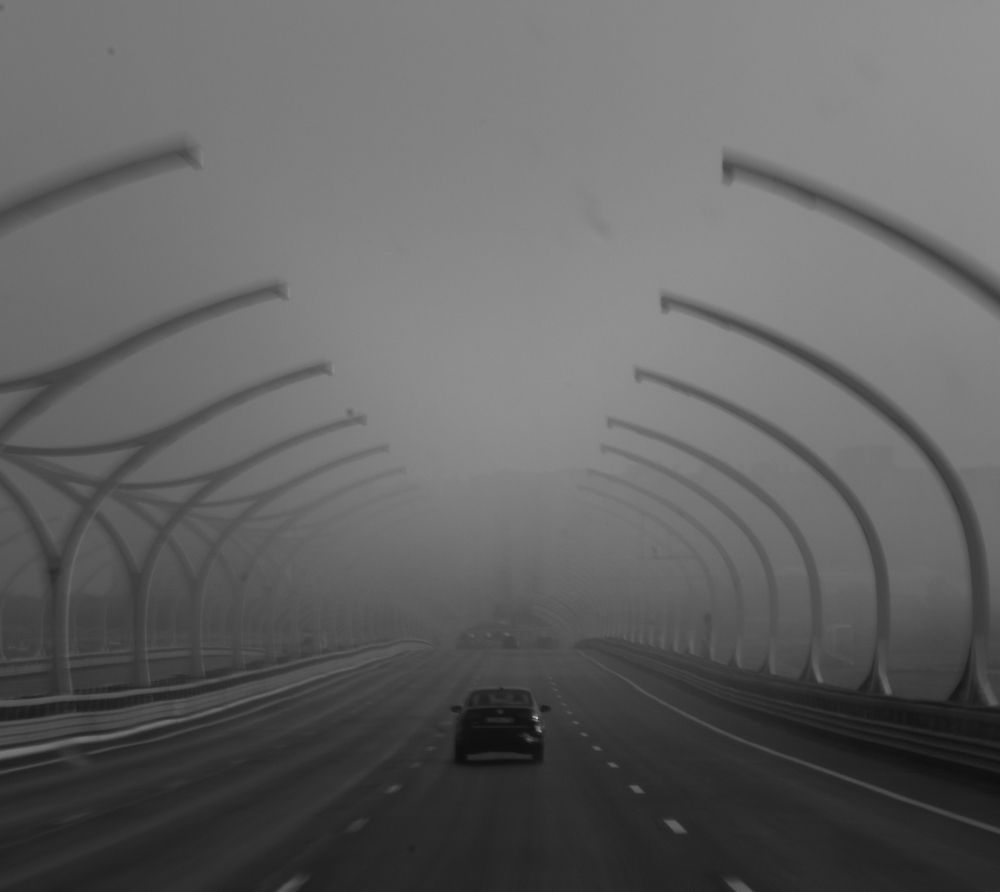 Дорога в туман