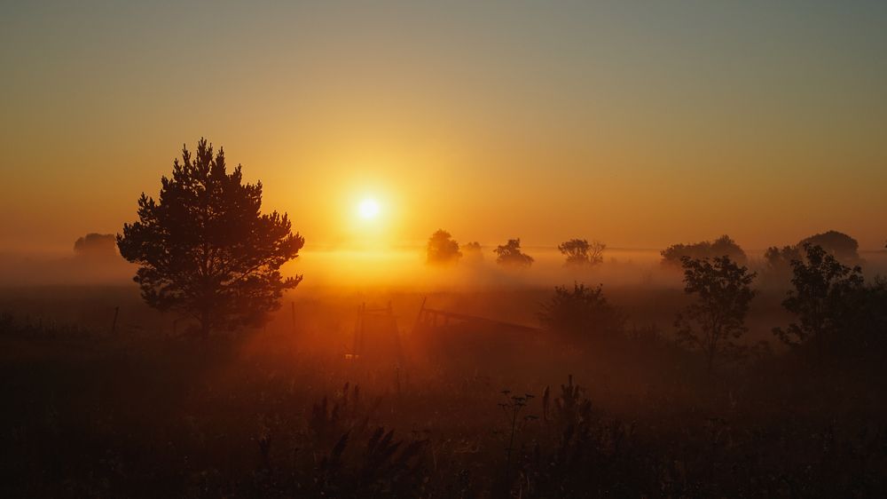 Фотография автора Vladimir