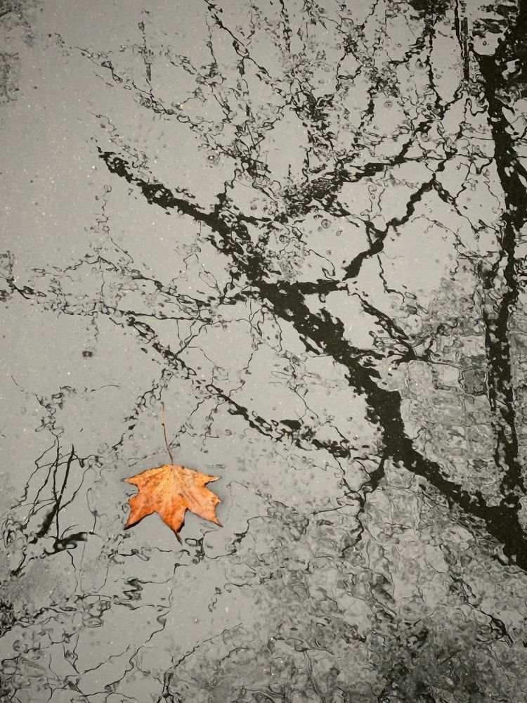 Photograph by Александр Ранчин