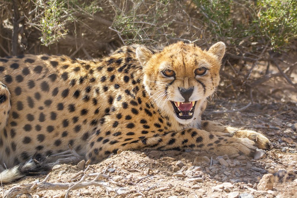 Photograph by seyedmohamad tabrizi