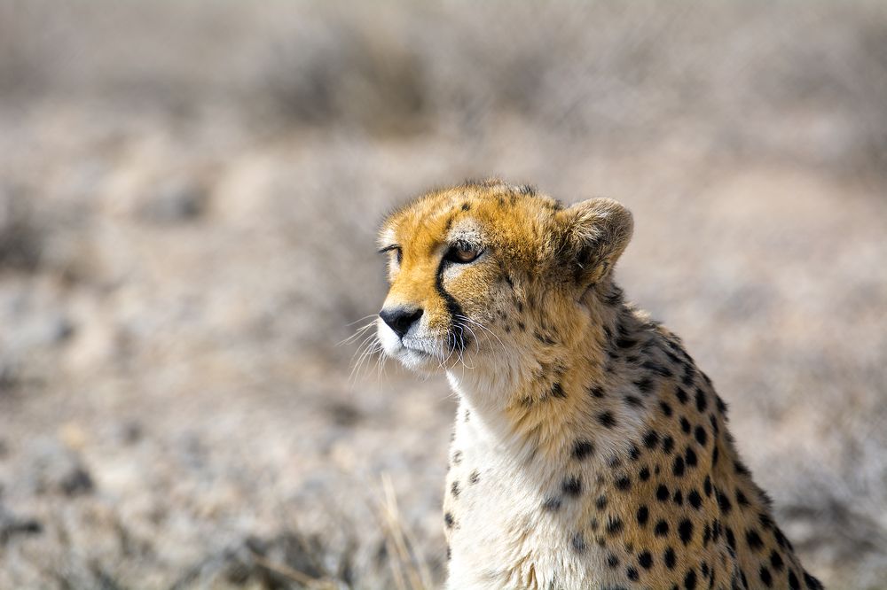 Photograph by seyedmohamad tabrizi